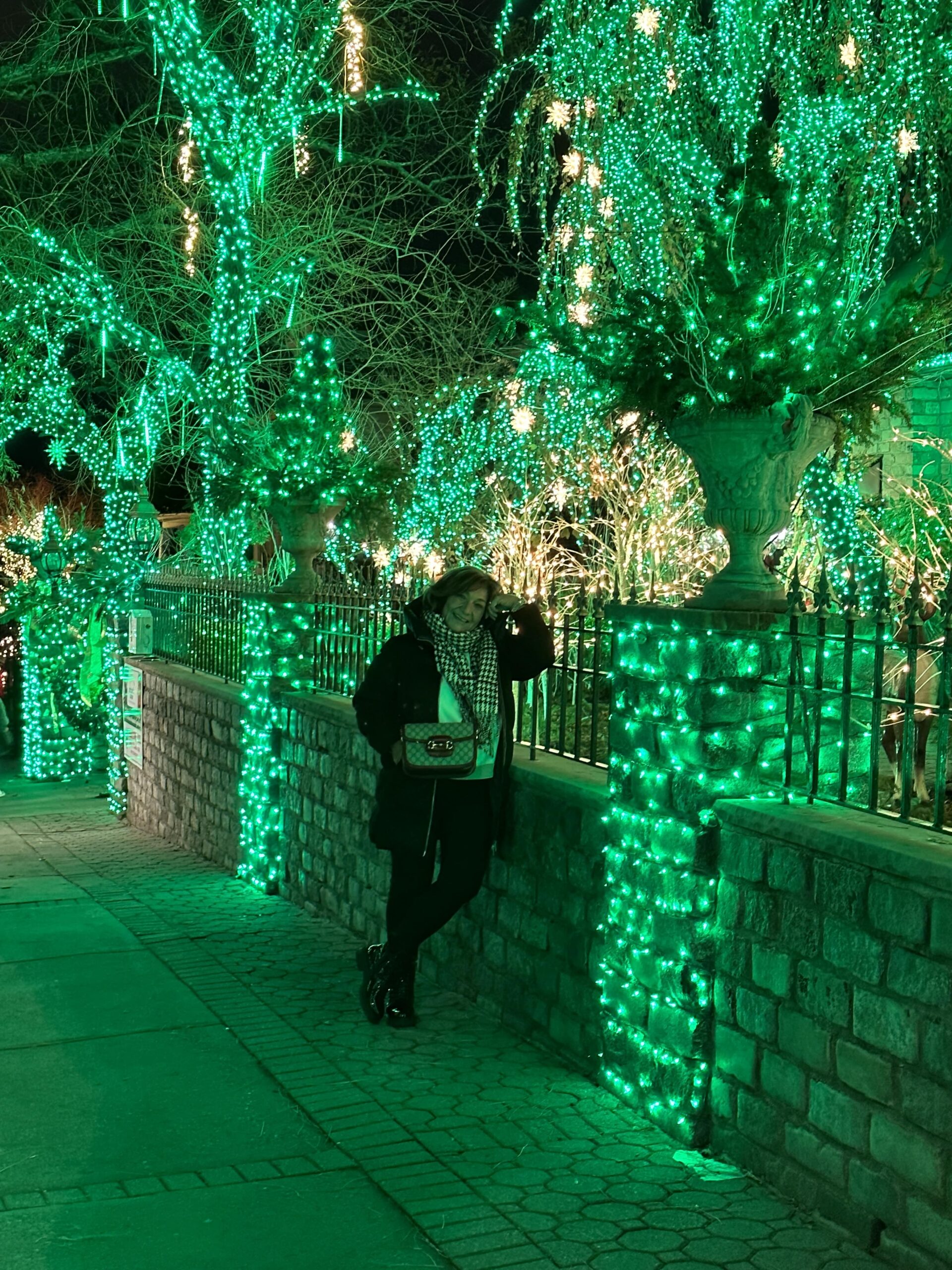 Luci di Natale a Brooklyn Dyker Heights